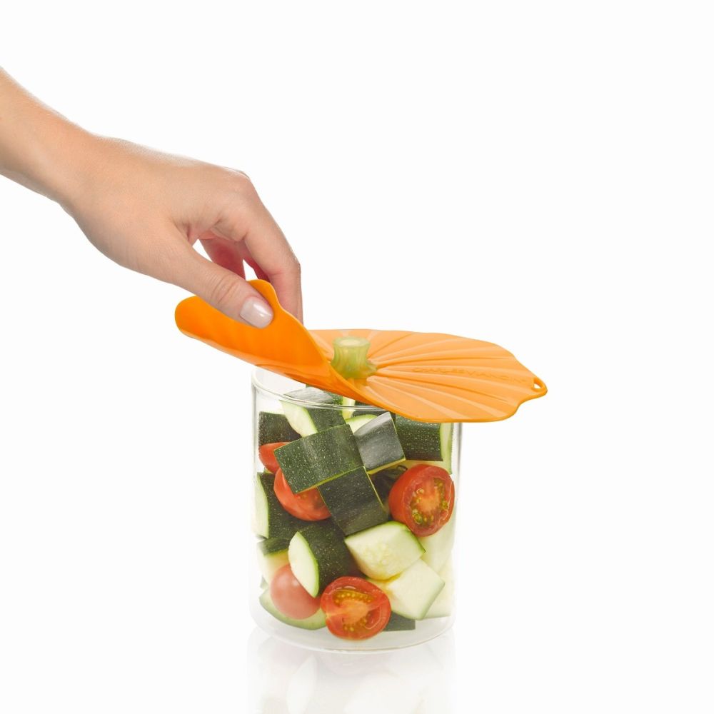 charles-viancin-2304-pumpkin-lid_2_.jpg